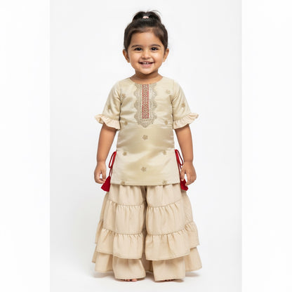 Organza Plazzo Set