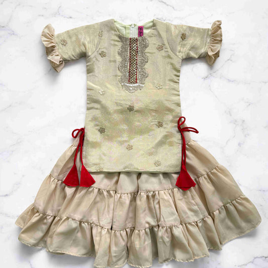 Organza Plazzo Set